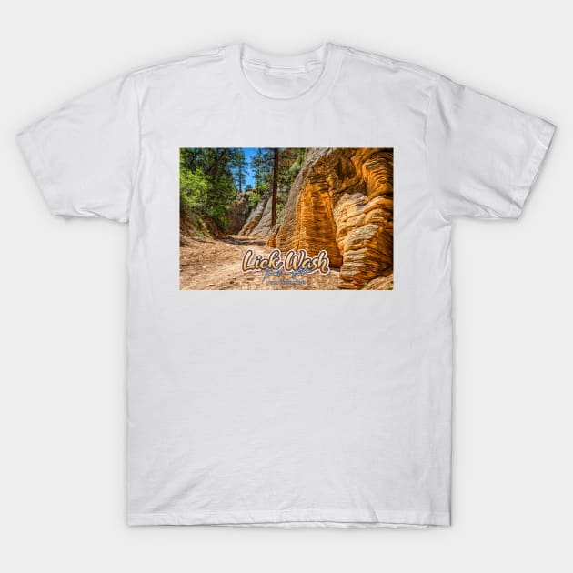 Lick Wash Trail Hike T-Shirt by Gestalt Imagery